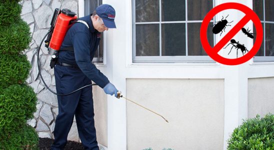 Akşehir Gümüşkurt İlaçlama böcek ilaçlama ve haşere kontrolü — ilaclama-tr.com